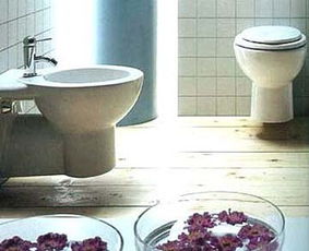 组图 鲜花和圆润的卫生间洁具设计 卫浴洁具行业频道陶瓷洁具